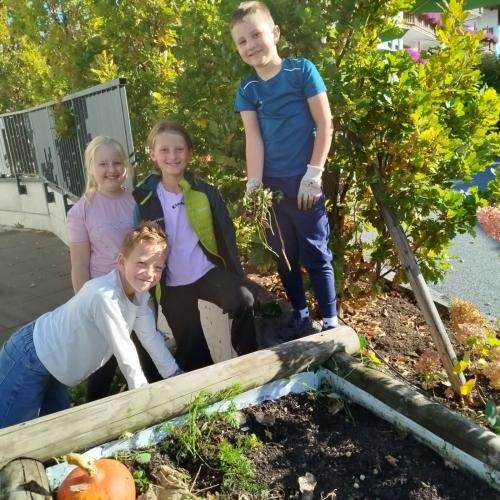 Kinder beim Ernten