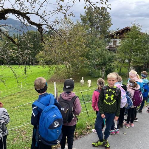Kinder beim Wandern