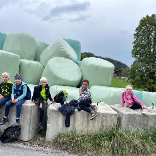 Kinder beim Wandern