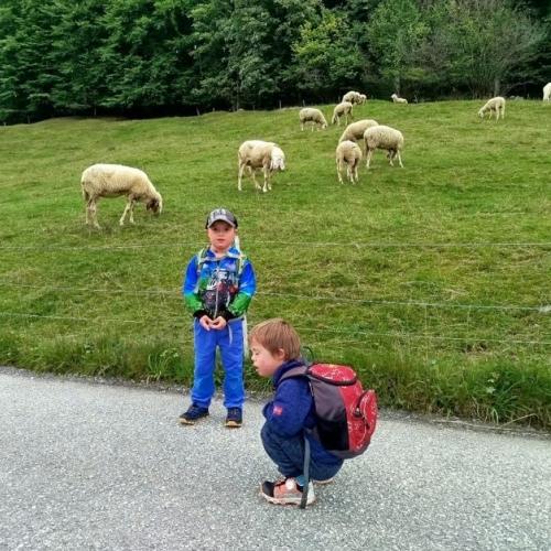 Kinder beim Wandern